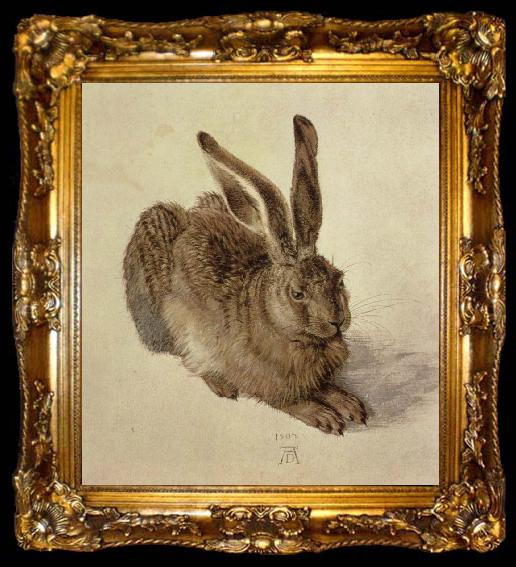 framed  Albrecht Durer hare, ta009-2